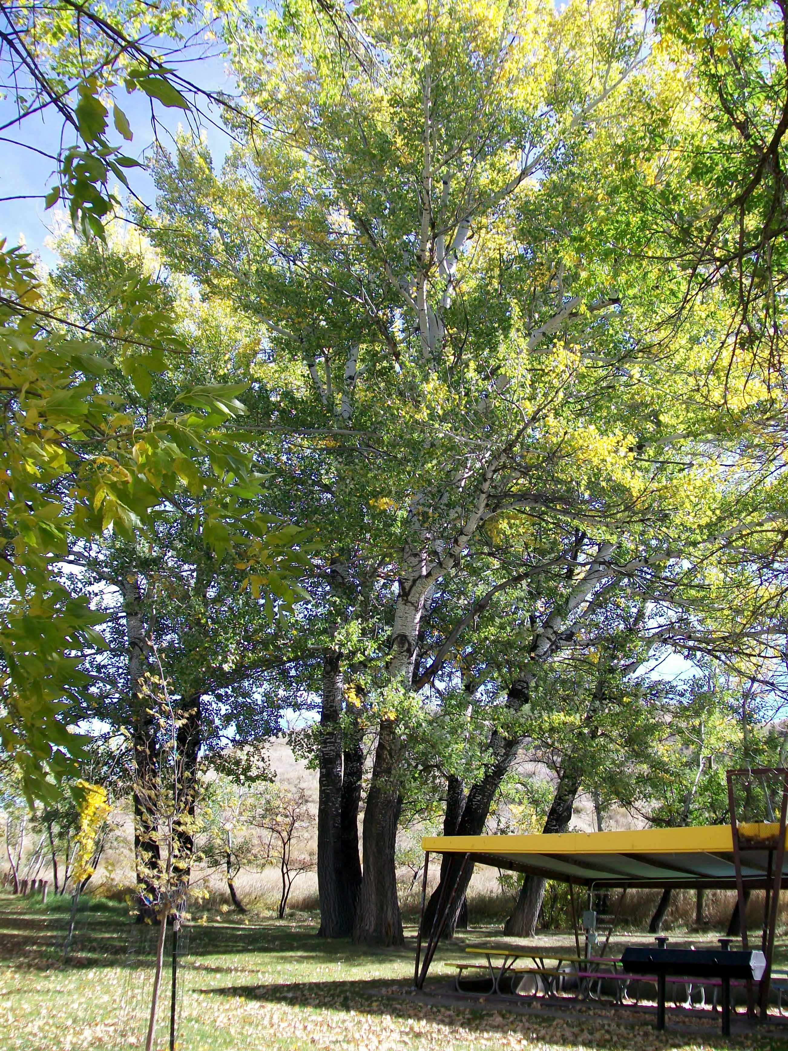 Washington Park Shelter 0-03