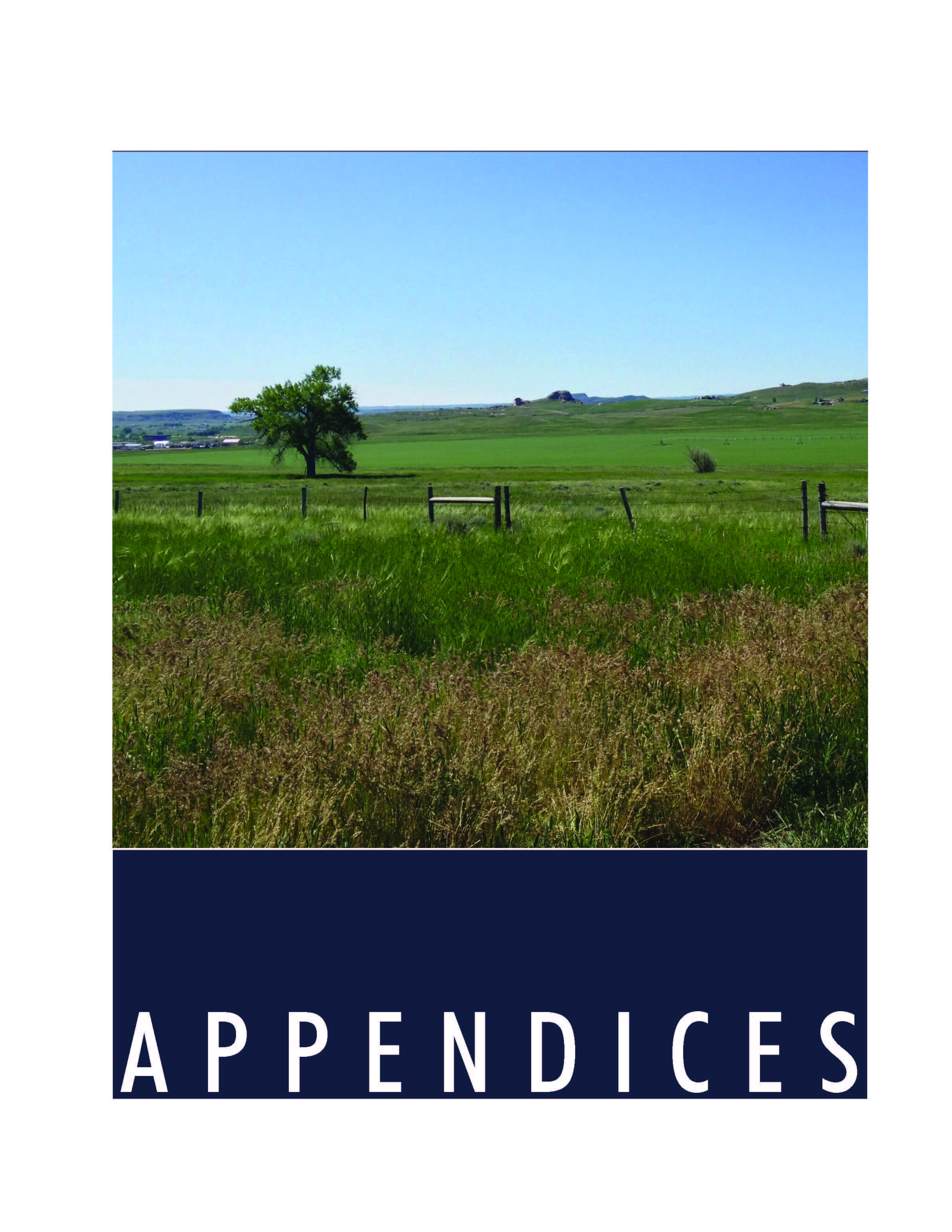 DouglasMasterPlan_Final Appendices 1.jpg